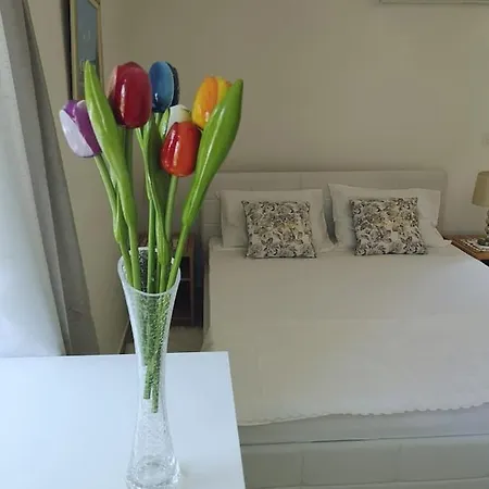 Ivka Apartment