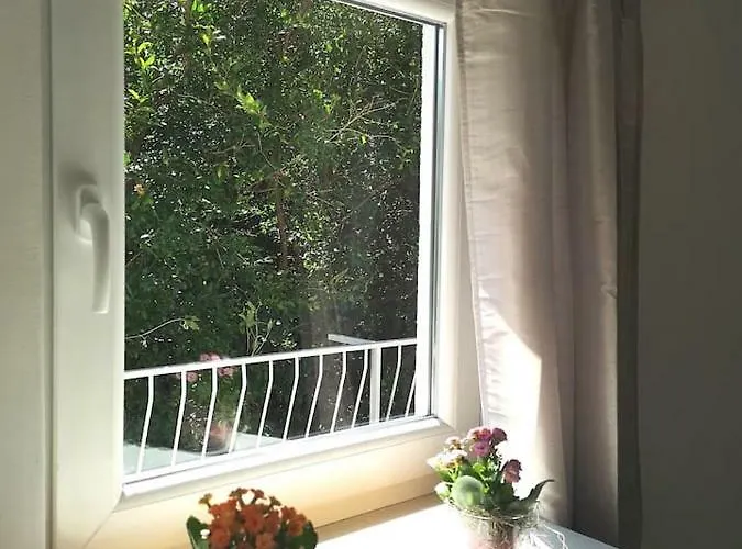 Ivka *