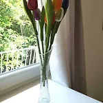 Ivka *